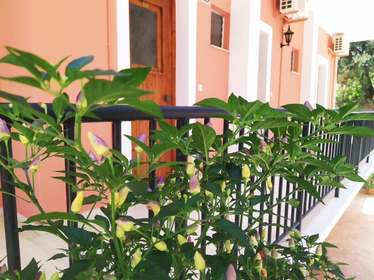 Aronis Apartments Benitses  Zewnętrze zdjęcie
